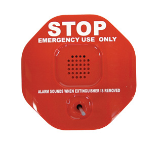 Extinguisher Anti-Theft Device